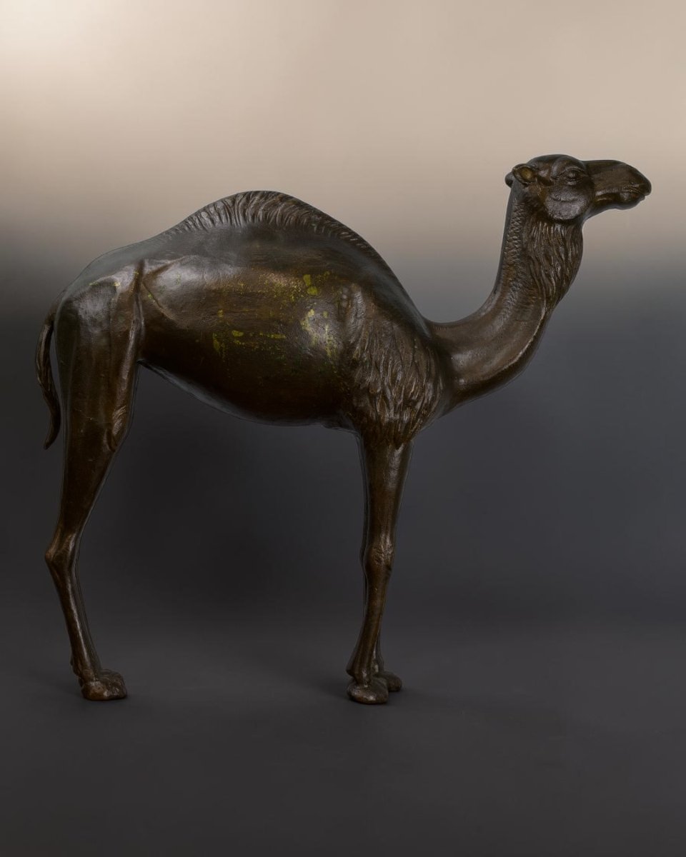 Bronzo Di Dromedario Di Gusto Coloniale - Italia Inizio XX Secolo-photo-3